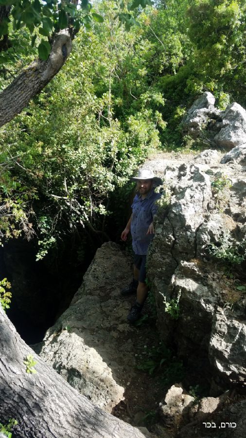 פתחו של הוטה 6